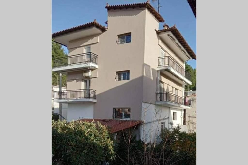 네오스마르마라스 Litsa'S House 아파트 외부 사진
